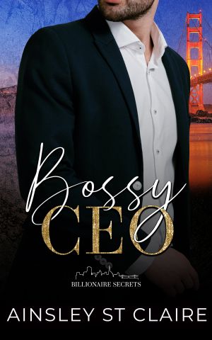 [Billionaire Secrets 02] • Bossy CEO